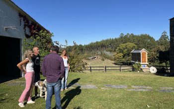 horreo2