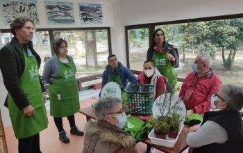 huerto urbano ferrol