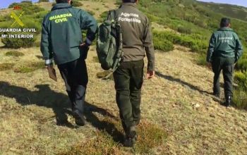 imagen archivo seprona guardia civil