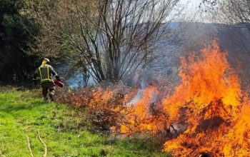 incendio forestal moeche