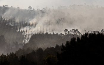 incendio_37