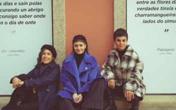 indóciles