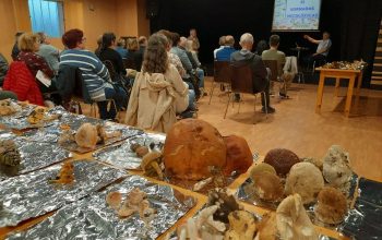jornadas micologicas naron