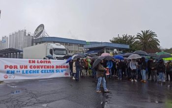 leche celta manifestaciones