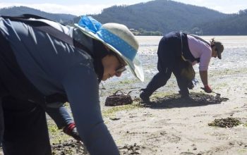 Marisqueo en Valdovino