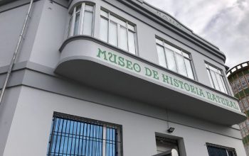 museo historia natural sghn ferrol