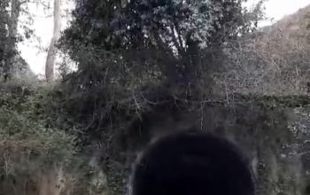 obarqueiro2