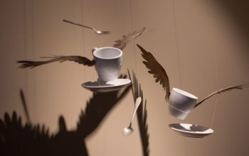 pamen pereira tazas cafe lusitania