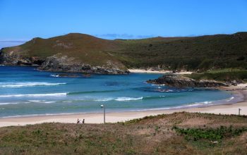 pantin1