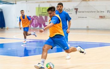 parrulo entrenamiento