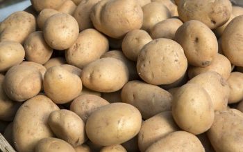 Potatoes on Market Stall, Santiago de Compostela, Galicia, Spain