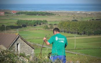 pel concellos empleo campo