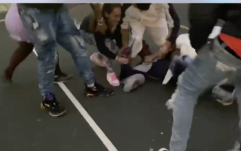 peleas en el inferniño banda dominicana