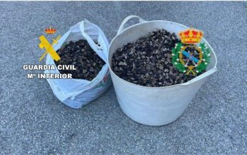 percebes decomisados