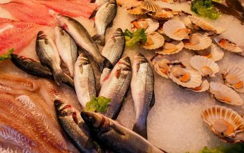 pescaderia