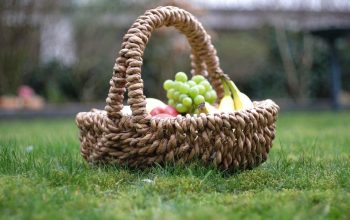 picnic