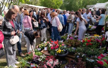 Feira da plantacion 2026