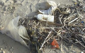 plastico, residuos marinos (1)