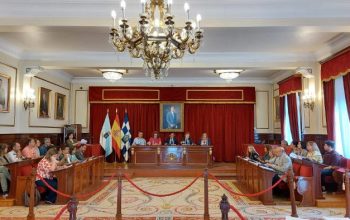 pleno organizacion ferrol