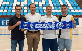 presentacion gallego 4