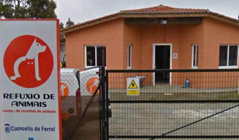 refugio-mouga-mas-cuidados