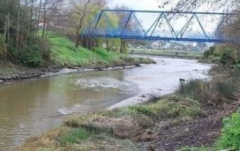 rio sardina ferrol