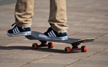skate (1)