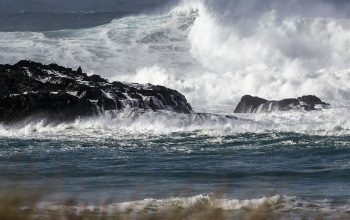 temporal 2017_10