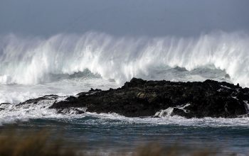 temporal 2017_11