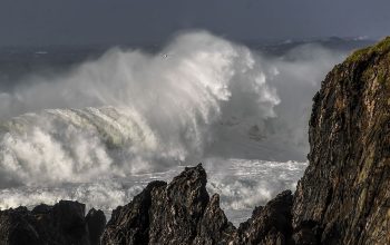 temporal 2017_13