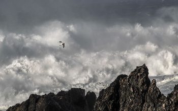 temporal 2017_14