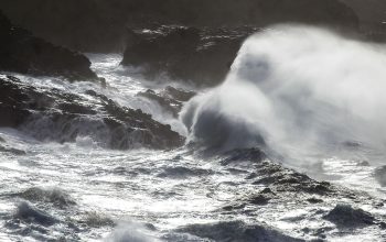 temporal 2017_23