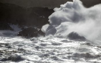temporal 2017_24