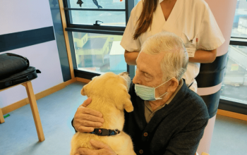 terapia animales Afal