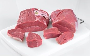 terneragallega