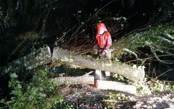 trabajos incidencias borrasca