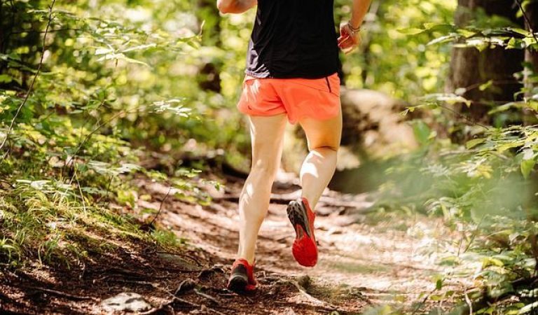 trail, carrera monte