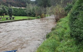 valdovi
