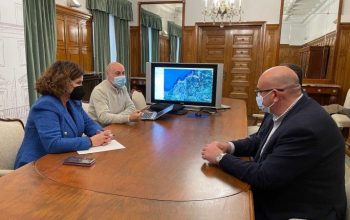 valdoviño subdelegada gobierno