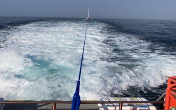 velero