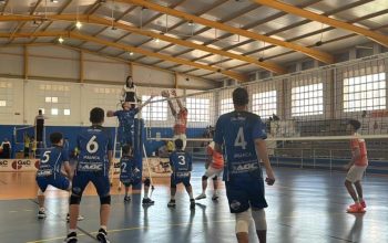 voleibol