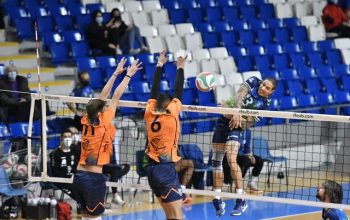 voleypalma