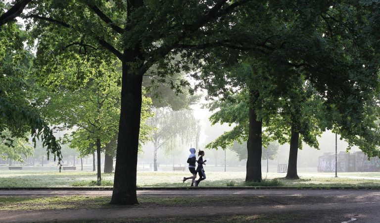 wal_172619-jogging-4211946_1920