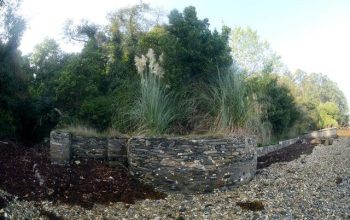 yacimiento Noville (1)
