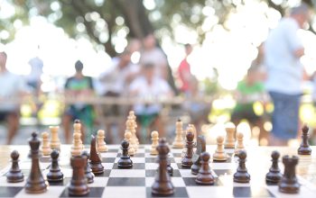 zvizmi-chess-5971021_1920